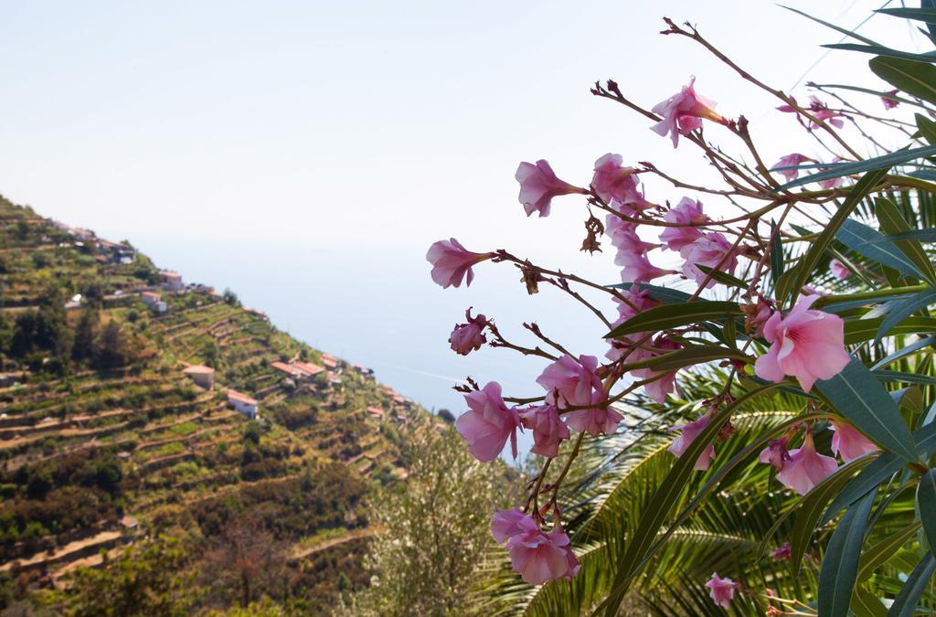Il Nettare Hotel Riomaggiore Exterior foto