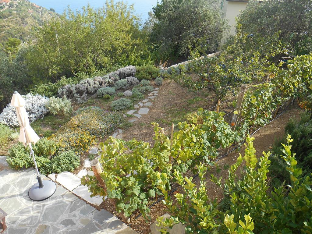 Il Nettare Hotel Riomaggiore Exterior foto